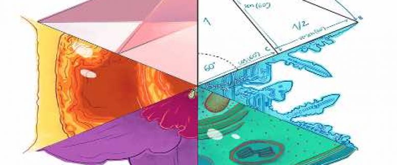 NOVIEMBRE ILUSTRADO EN LA 1 DE MOYANO