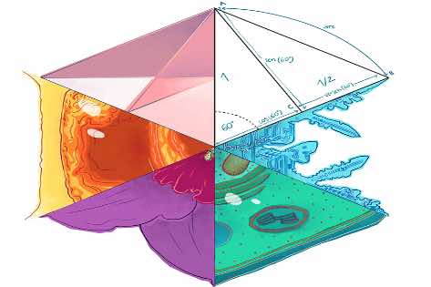 NOVIEMBRE ILUSTRADO EN LA 1 DE MOYANO