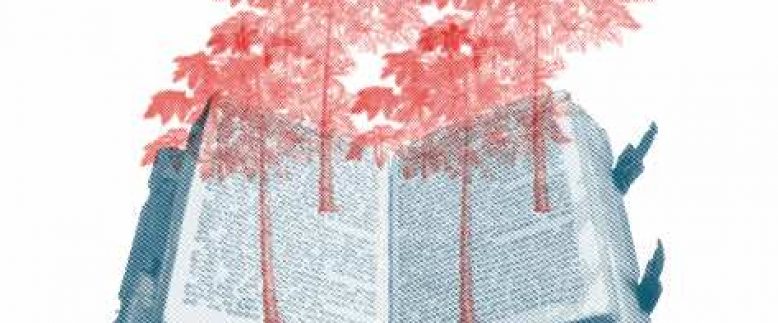 TALLER DE LIBROS POP-UP EN NOVIEMBRE