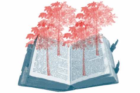 TALLER DE LIBROS POP-UP EN NOVIEMBRE